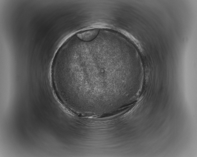 X0000116491423200912161309