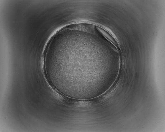 X0000116491424200912161309