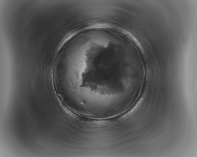 X0000116491425200912161309