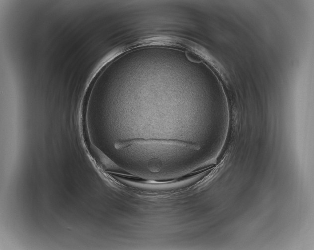 X0000116491426200912161309