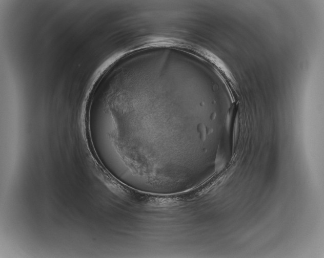 X0000116491427200912161309