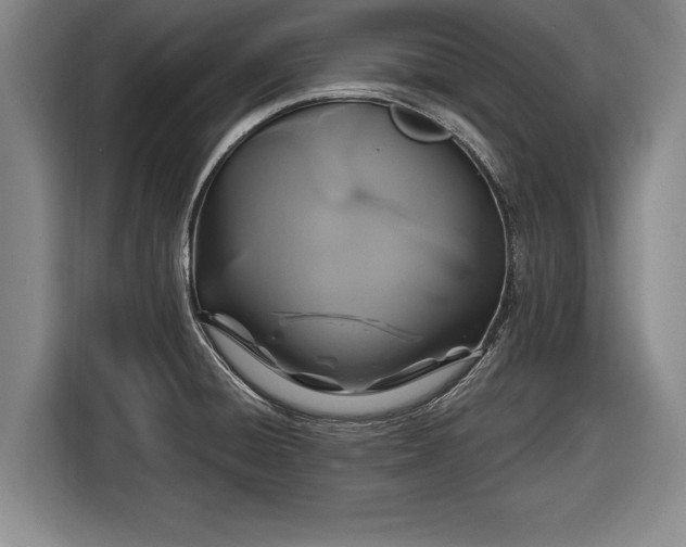 X0000116491428200912161309