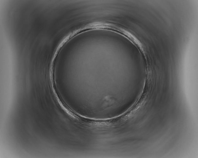 X0000116491429200912161309