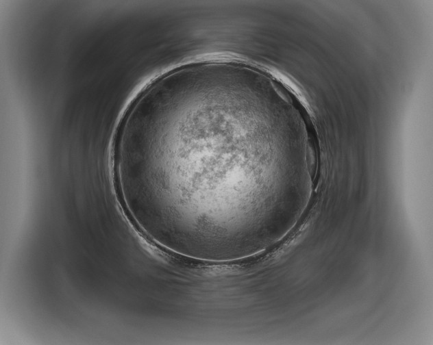 X0000116491430200912161310