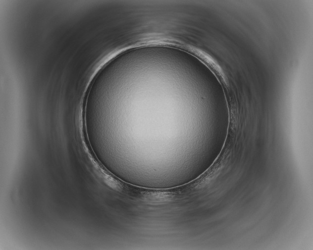 X0000116491431200912161310