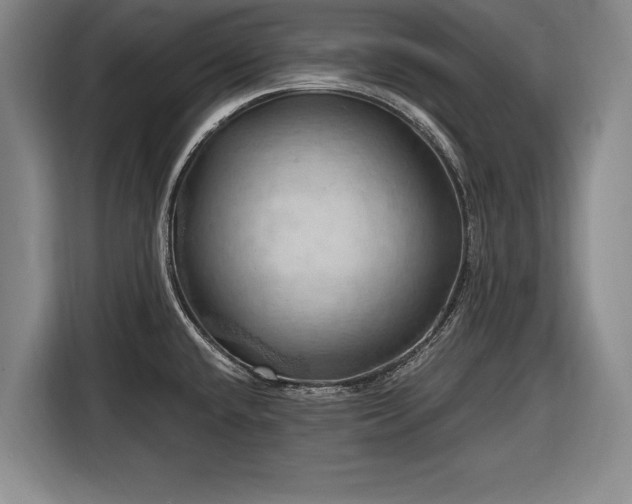 X0000116491432200912161310