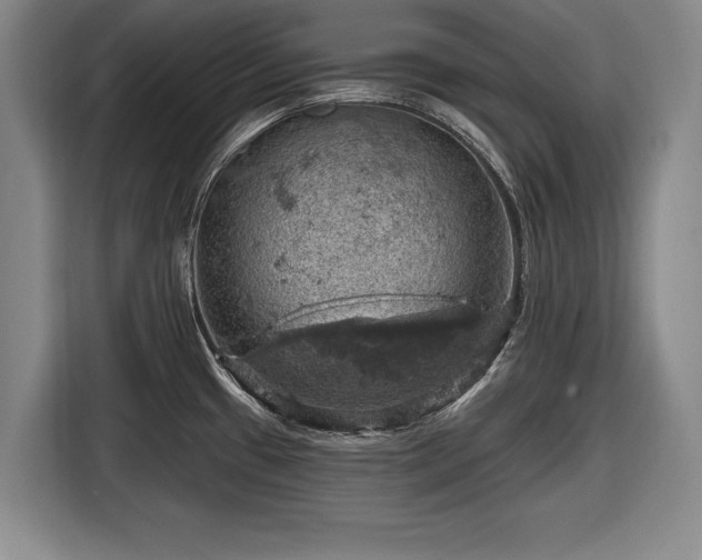 X0000116491433200912161310