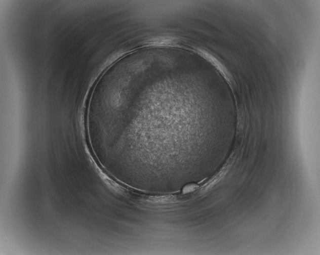 X0000116491434200912161310