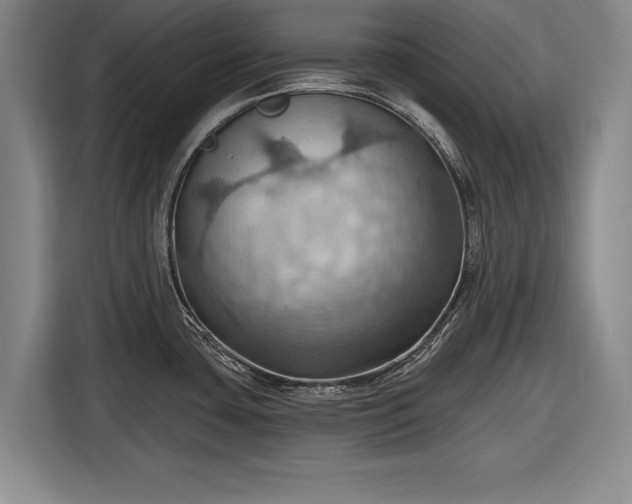 X0000116491435200912161310