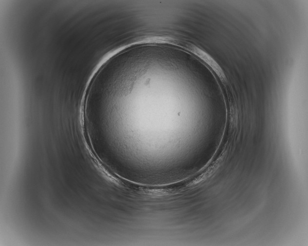 X0000116491436200912161310