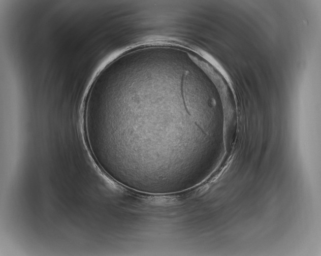 X0000116491437200912161310