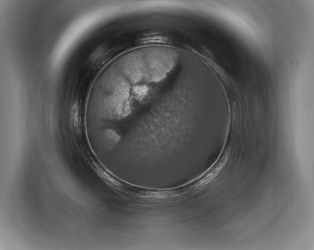 X0000116491438200912161310