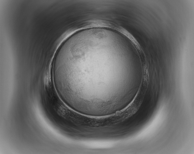 X0000116491439200912161310