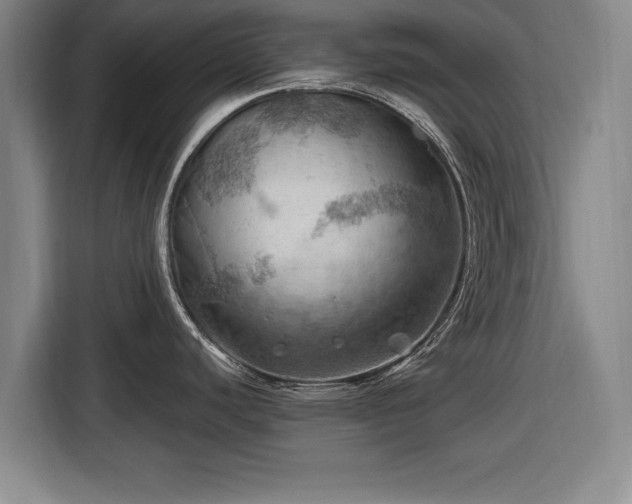 X0000116491440200912161310