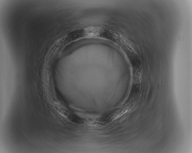 X0000116491441200912161309