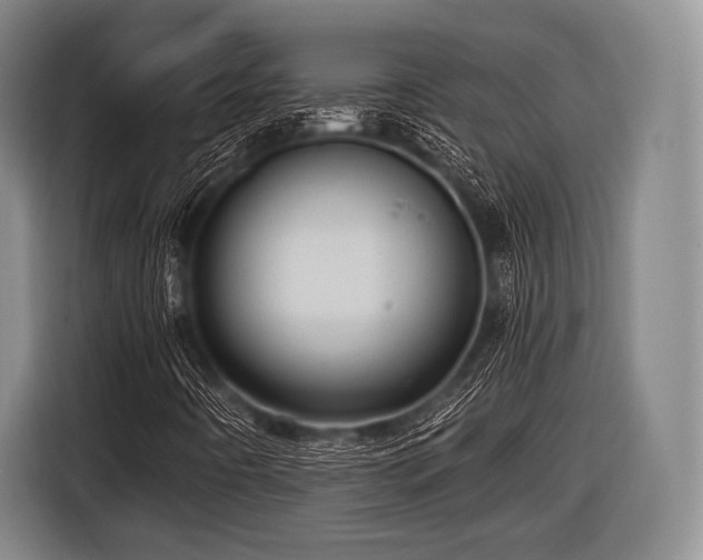 X0000116491442200912161309