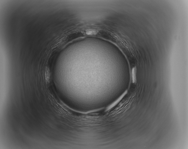 X0000116491443200912161309