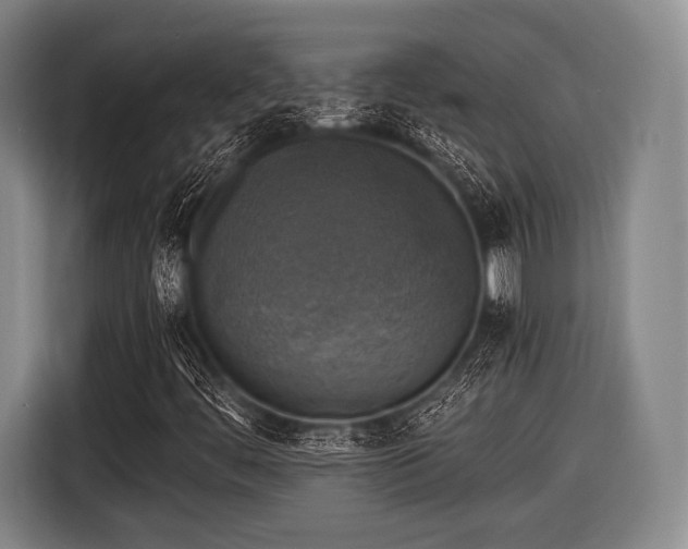 X0000116491444200912161309