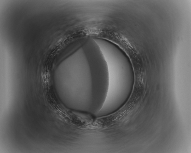 X0000116491445200912161309