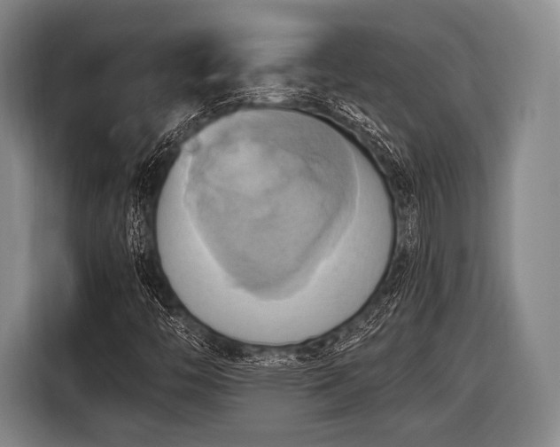 X0000116491446200912161309