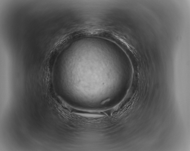 X0000116491447200912161309