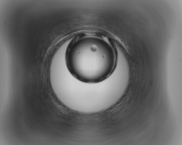 X0000116491448200912161309