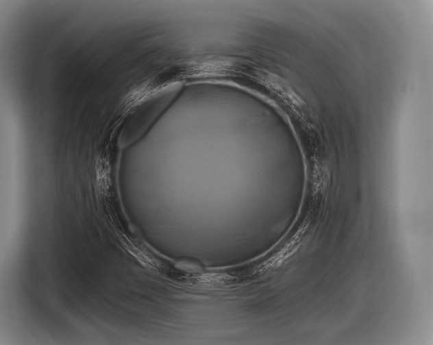 X0000116491449200912161309