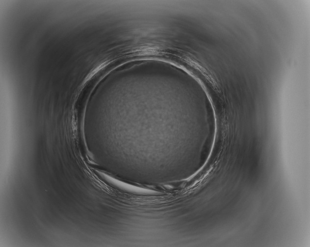 X0000116491450200912161309