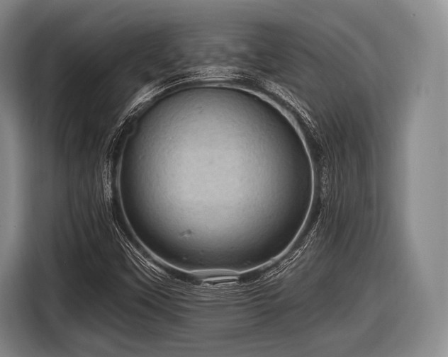 X0000116491451200912161309