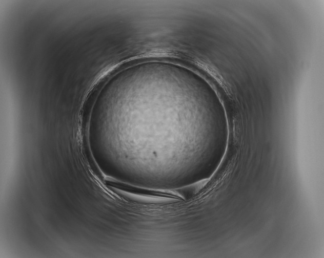 X0000116491452200912161309