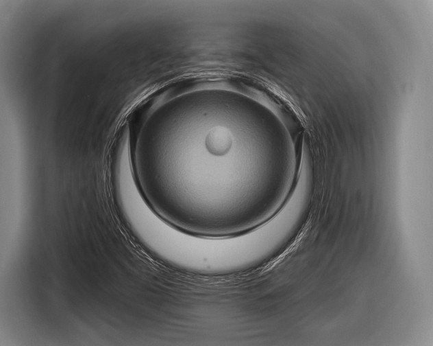 X0000116491453200912161309