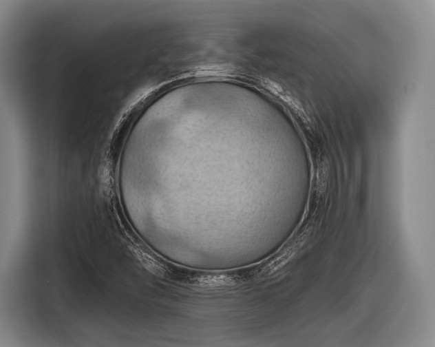 X0000116491454200912161309