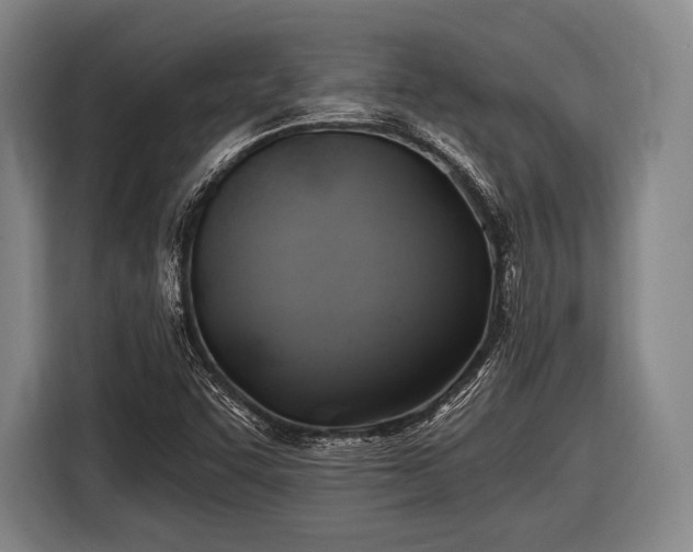 X0000116491455200912161309