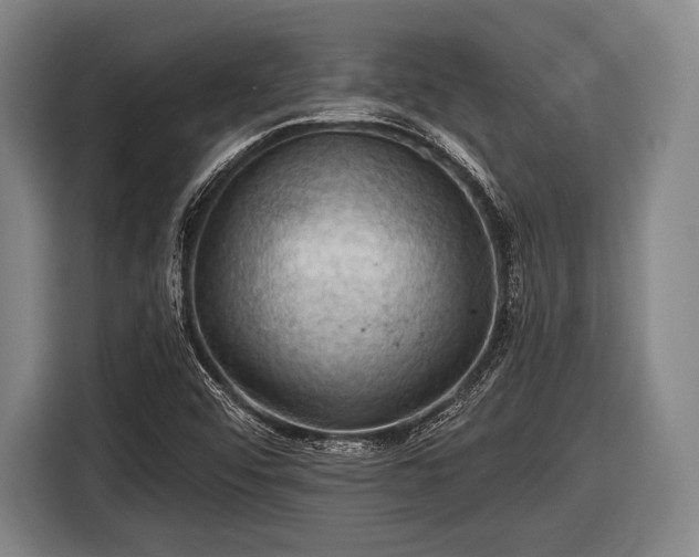 X0000116491456200912161309