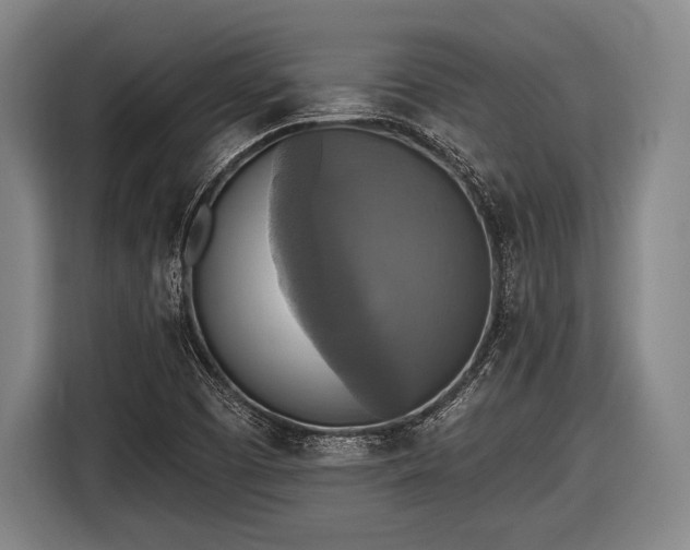 X0000116491457200912161309