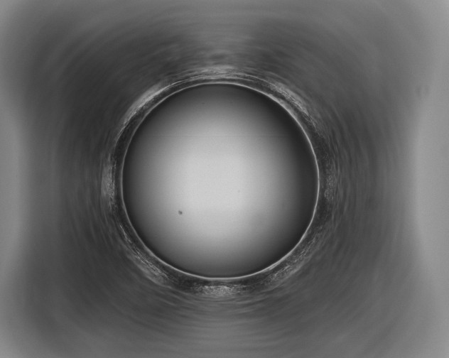 X0000116491458200912161309