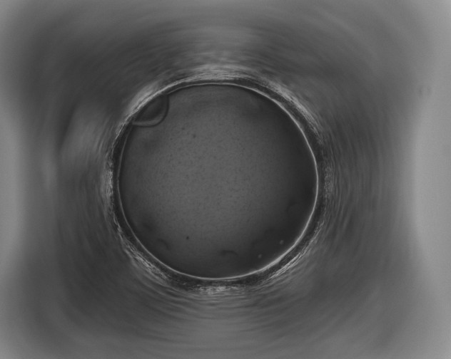 X0000116491459200912161309