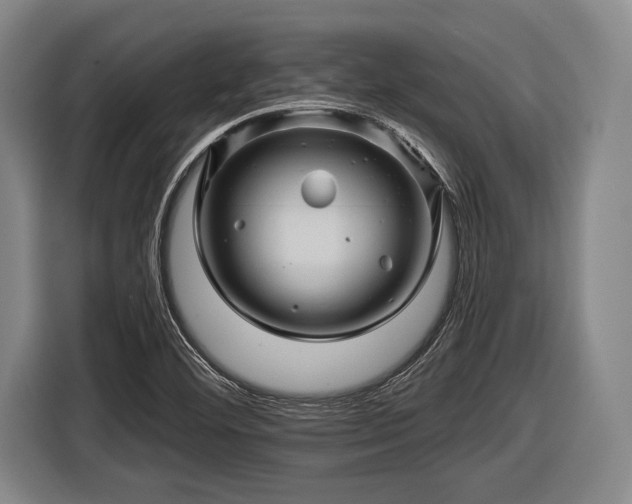 X0000116491460200912161309