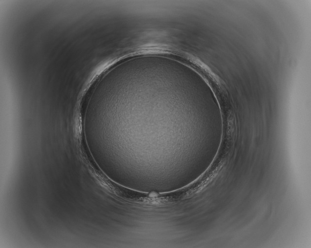 X0000116491461200912161309