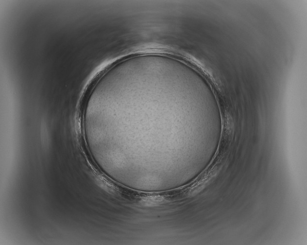 X0000116491462200912161309