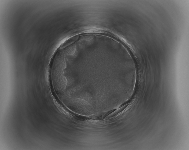 X0000116491463200912161309