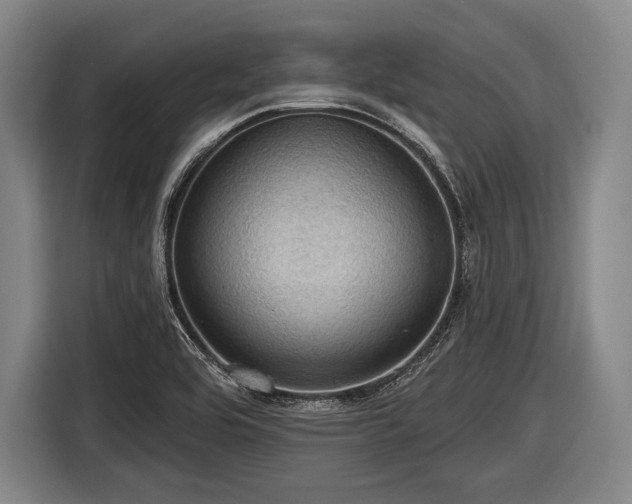 X0000116491464200912161309