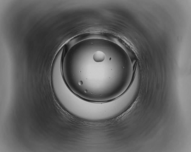 X0000116491465200912161309