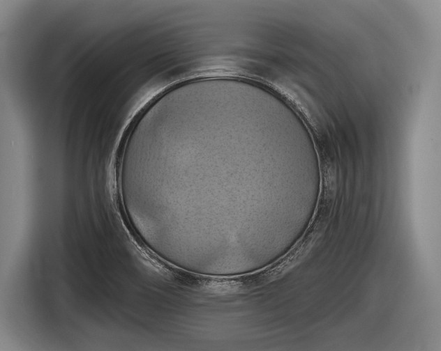 X0000116491466200912161309