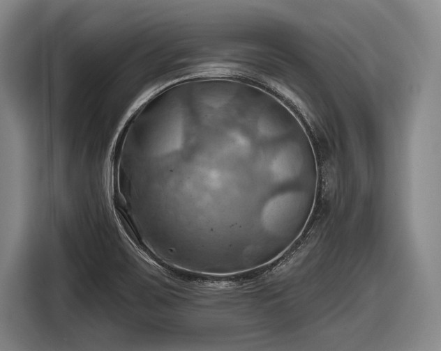 X0000116491467200912161309