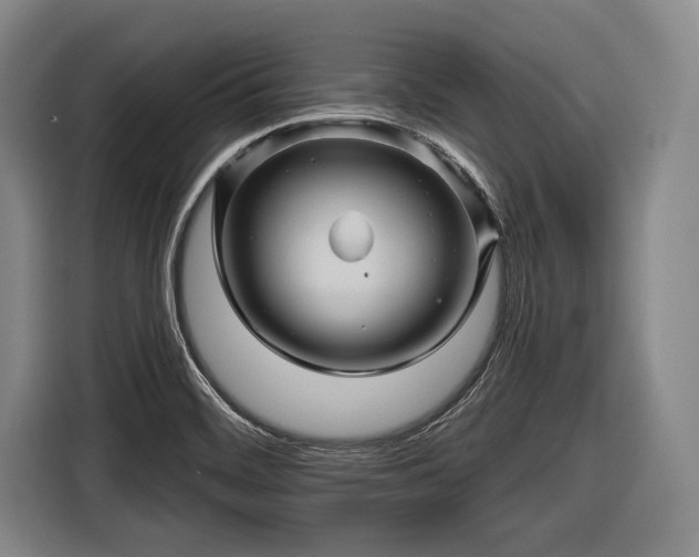 X0000116491468200912161309