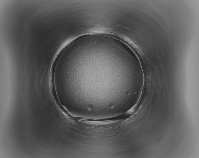 X0000116491469200912161309