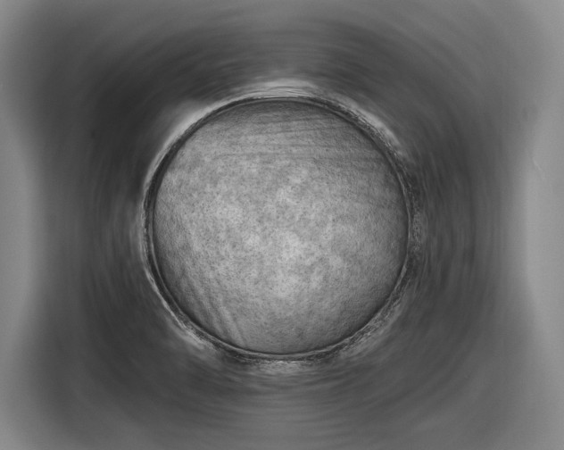 X0000116491470200912161309