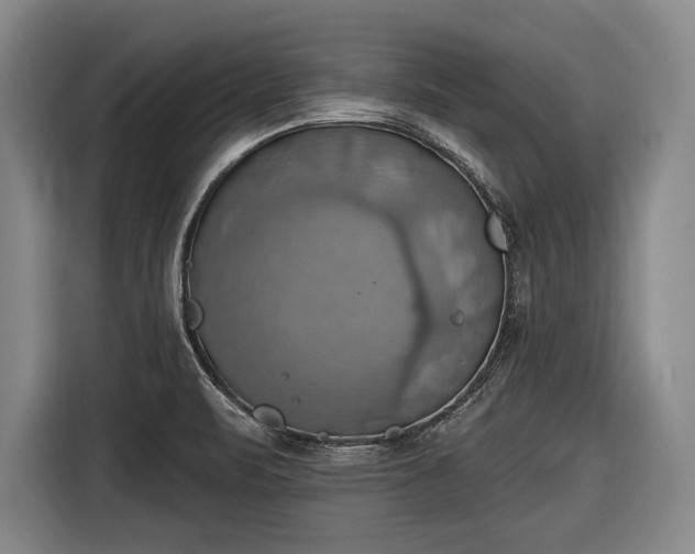 X0000116491471200912161309