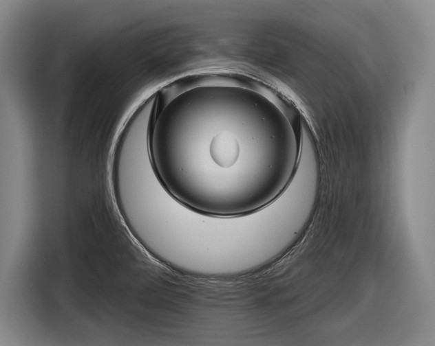 X0000116491472200912161309